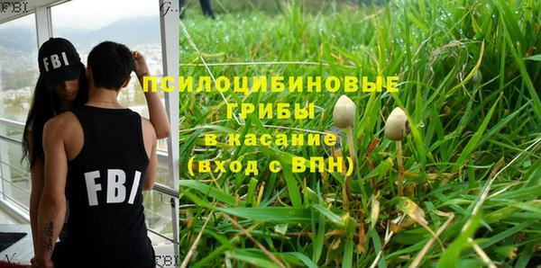 2c-b Алзамай