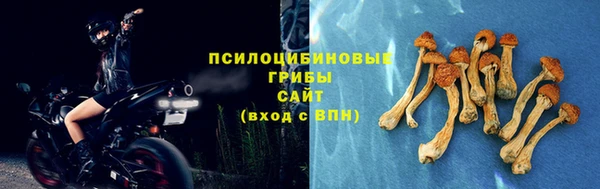 2c-b Алзамай